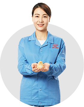 rb88随行版_官网官网入口